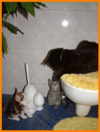 DSCF016475
